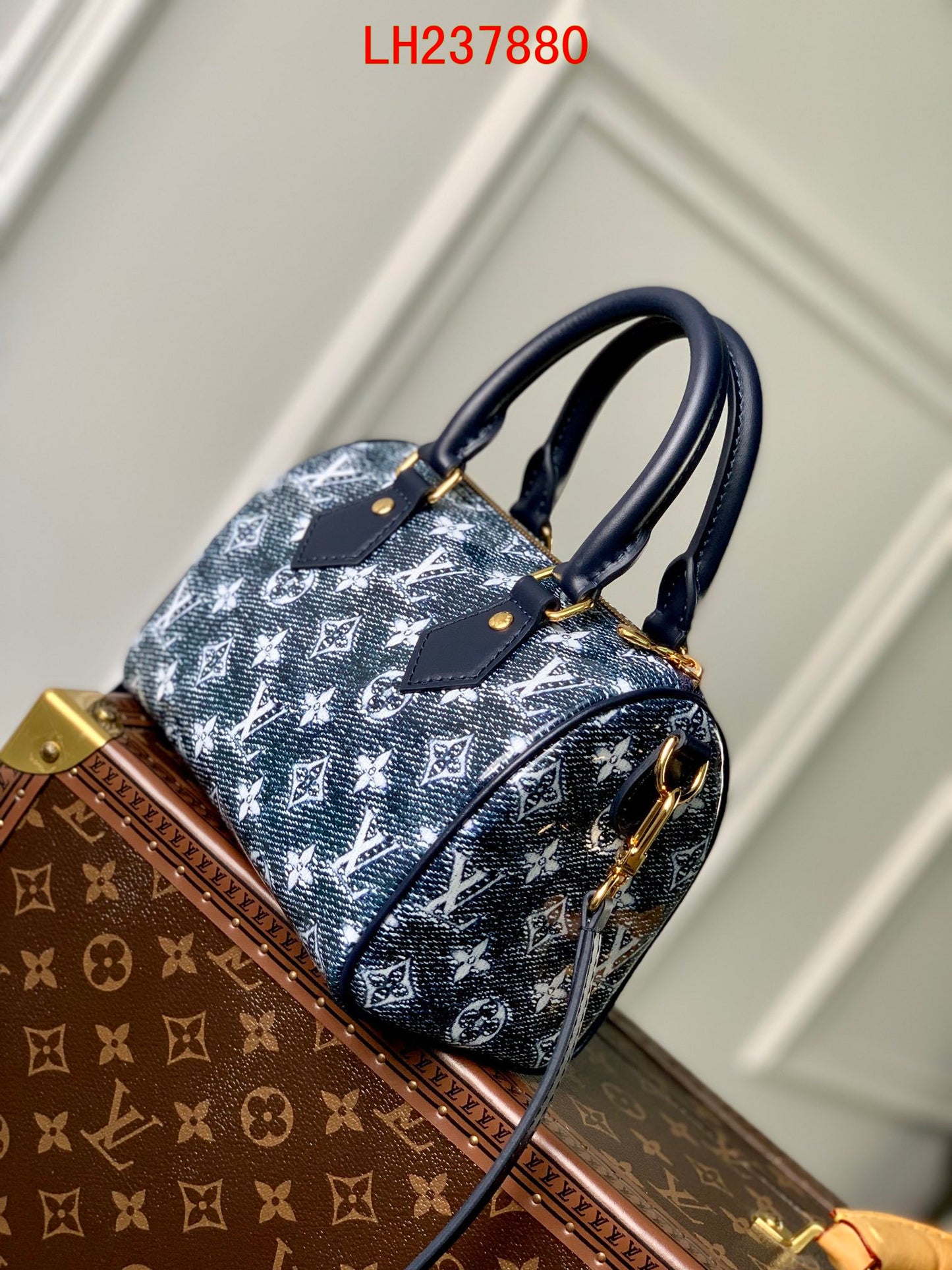 Louis Vuitton Speedy Bandoulière 20