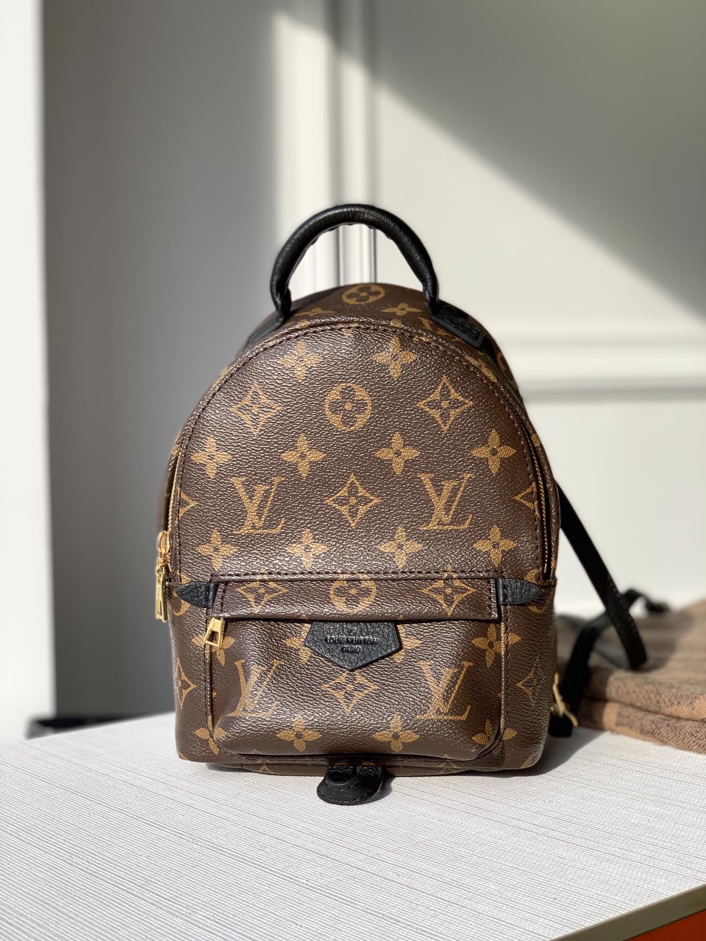 A Review of Louis Vuitton Palm Springs mini backpack