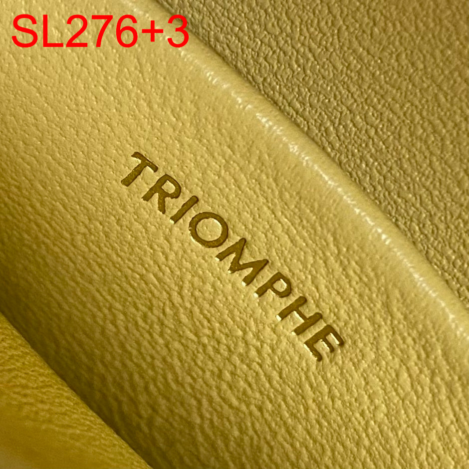 Celine MINI BESACE TRIOMPHE