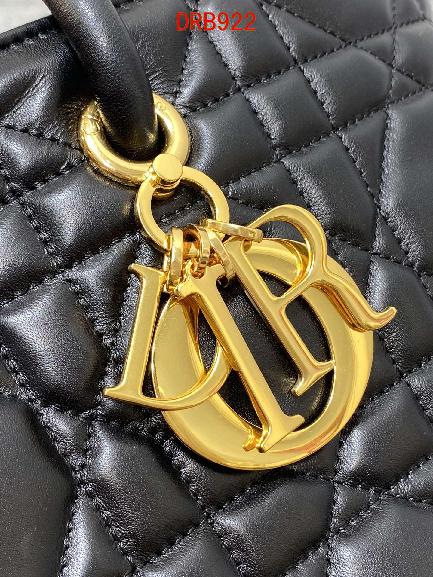 Dior Toujours Large bag