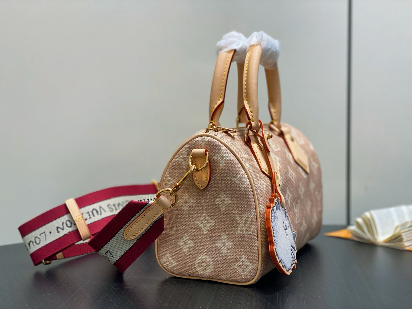 Louis Vuitton SPEEDY BANDOULIÈRE 20