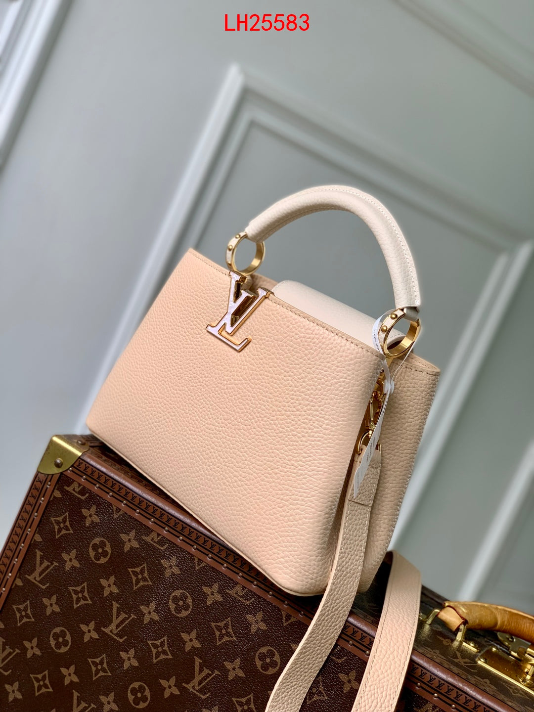 Louis Vuitton Capucines PM Daydream animation