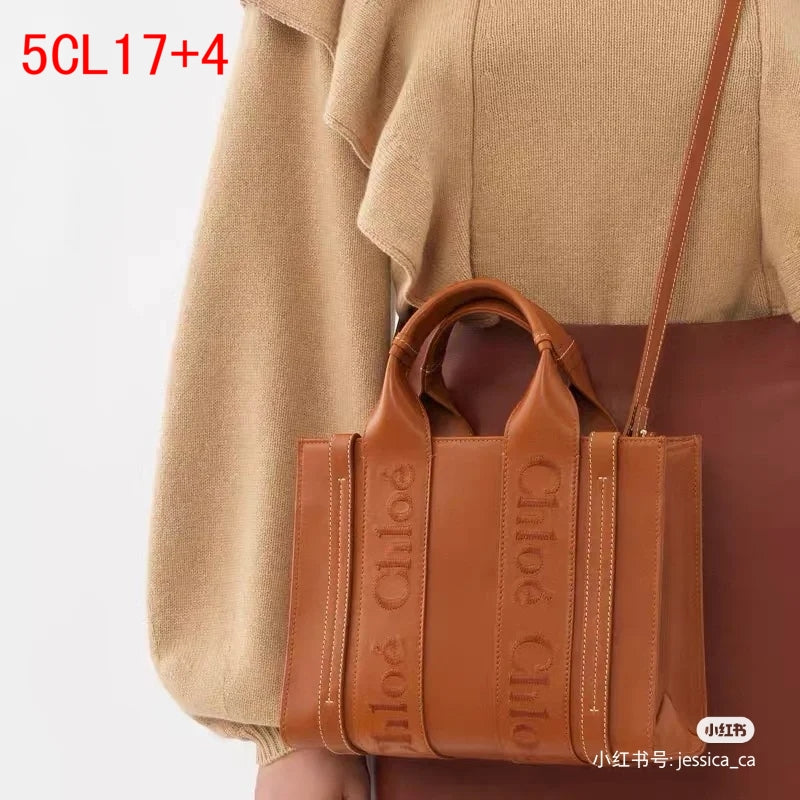 Chloe Woody Small Leather Bag