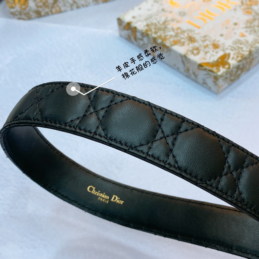 Dior Belt