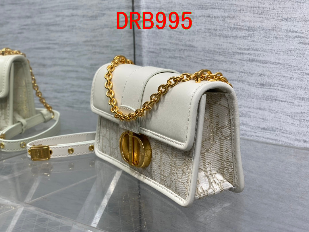 Dior Montaigne bag