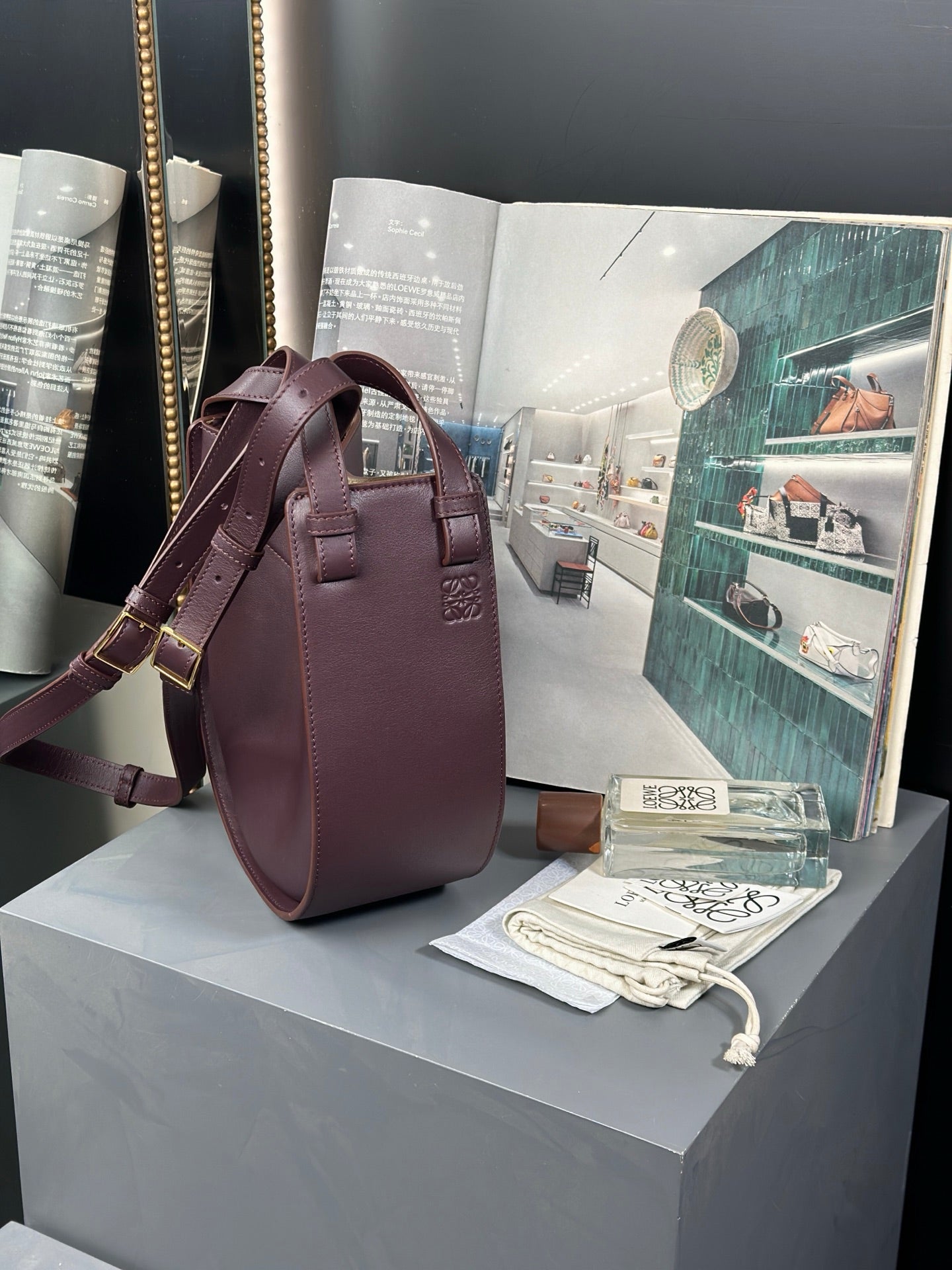 Loewe Hammock Slice bag