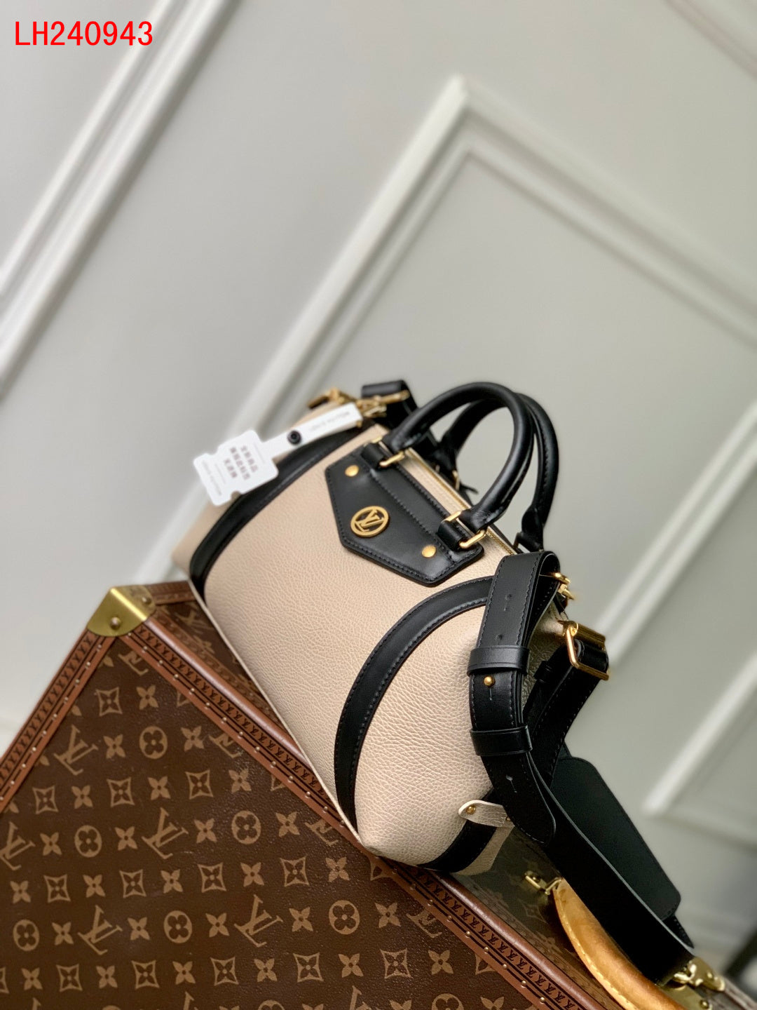Louis Vuitton Biker PM 2025 New collection