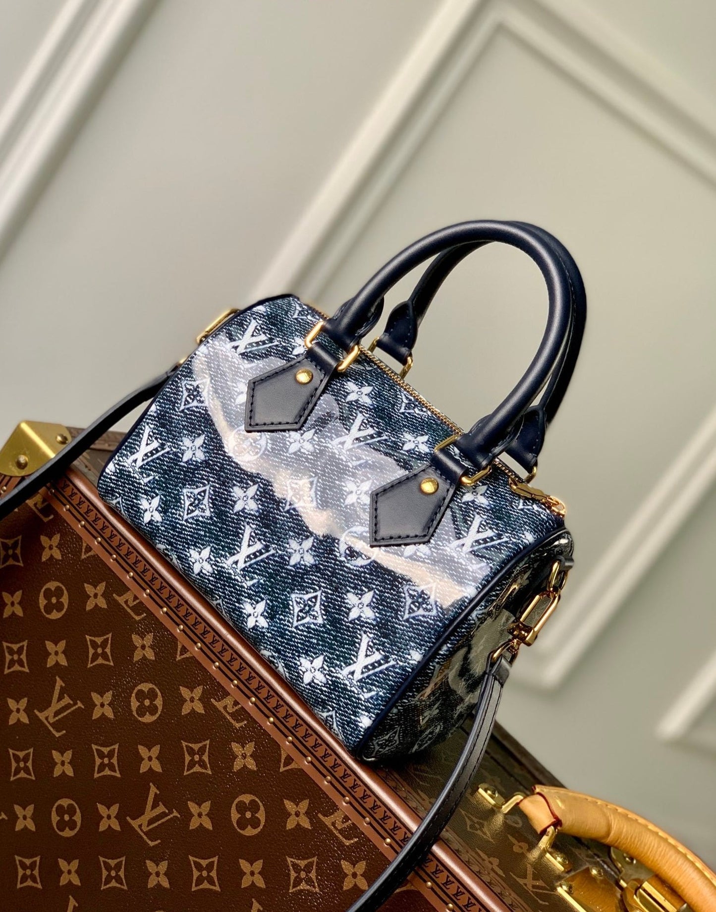 Louis Vuitton Speedy Bandoulière 20