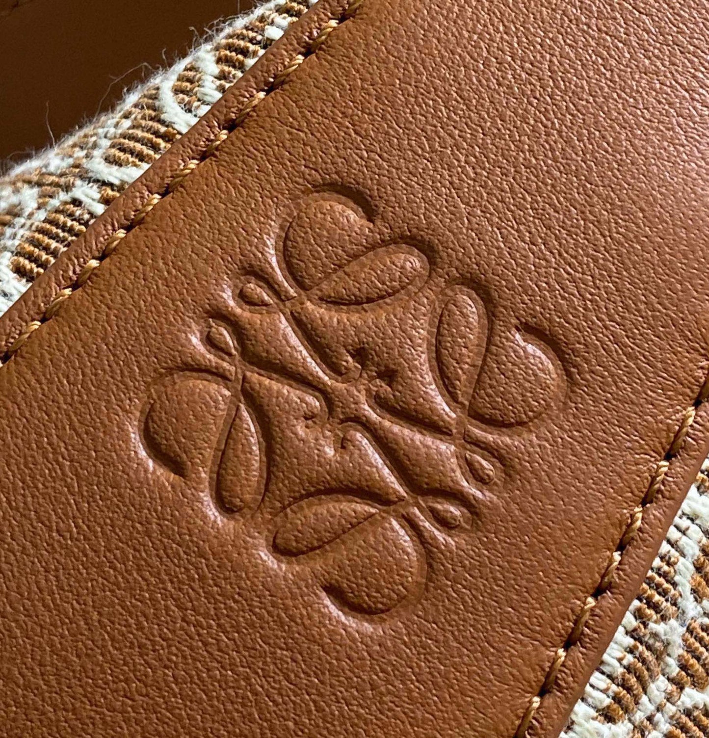 Loewe Luna Bag Canvas