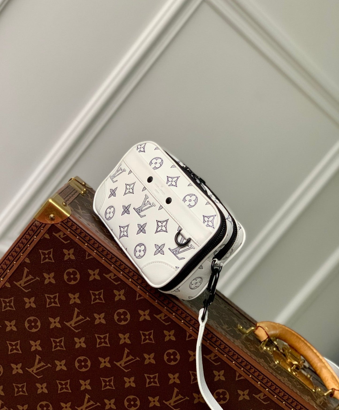 Louis Vuitton Alpha Monogram Shadow