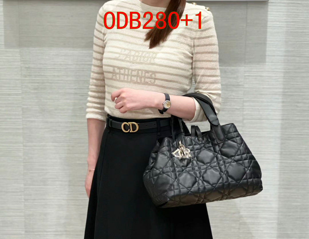 Dior Medium Dior Toujours Bag