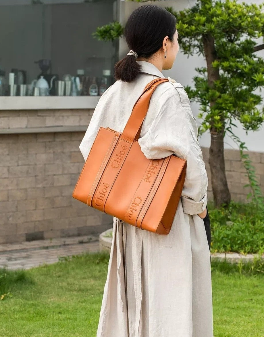 Chloe Woody Medium Leather Bag