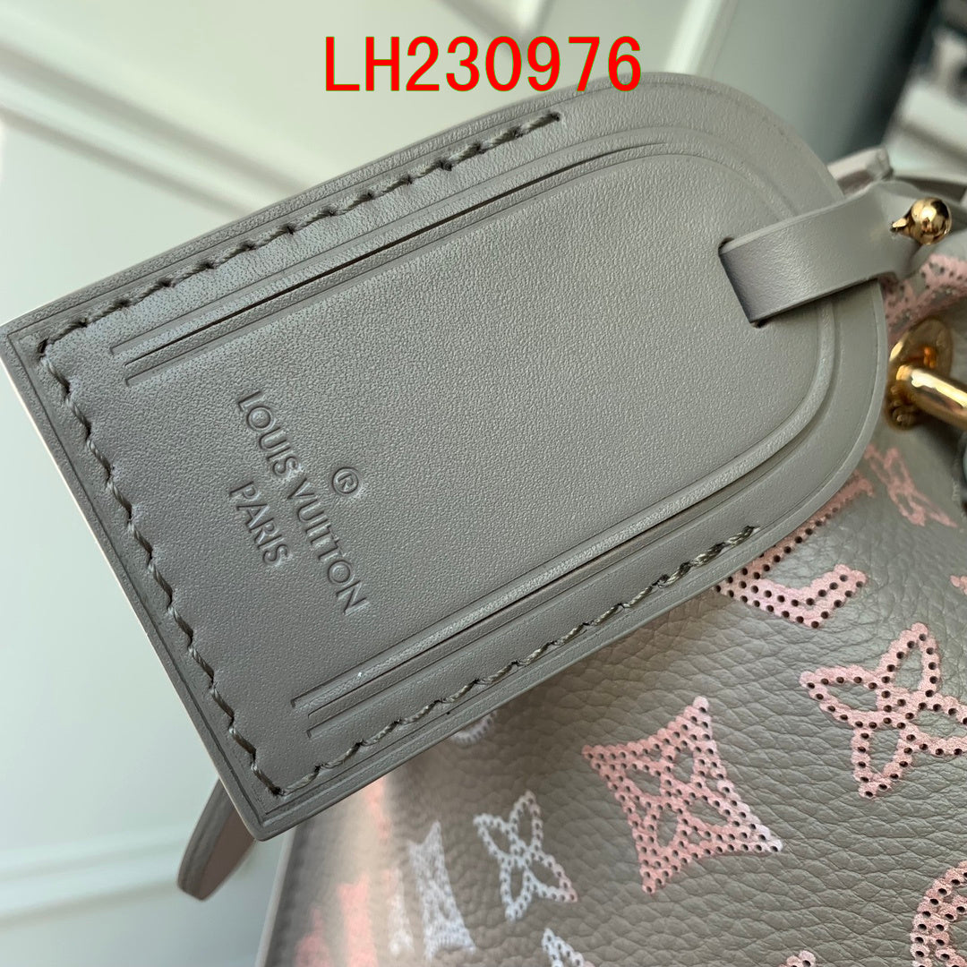 Louis Vuitton Carmel Hobo Mahina Leather