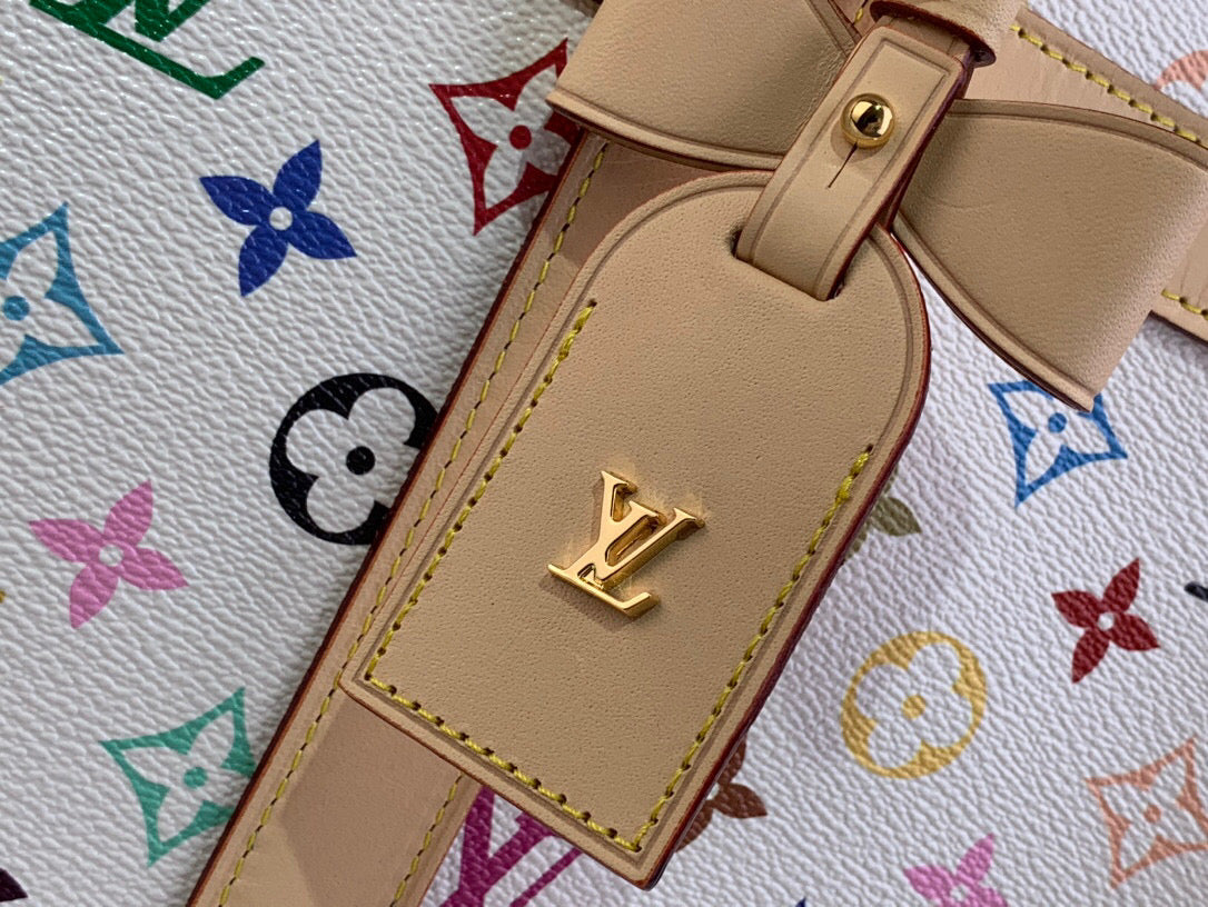 Louis Vuitton LVx TM Dog bag