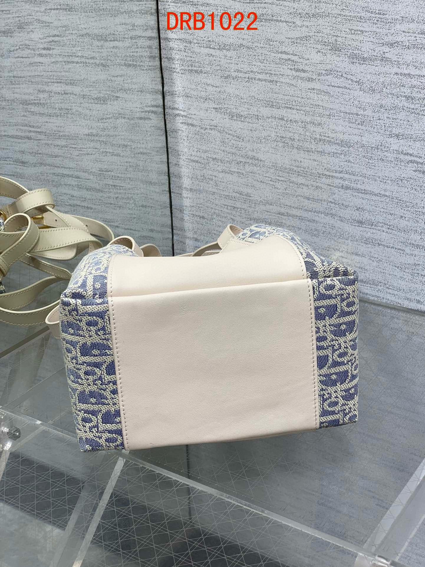 Dior Signature Oblique