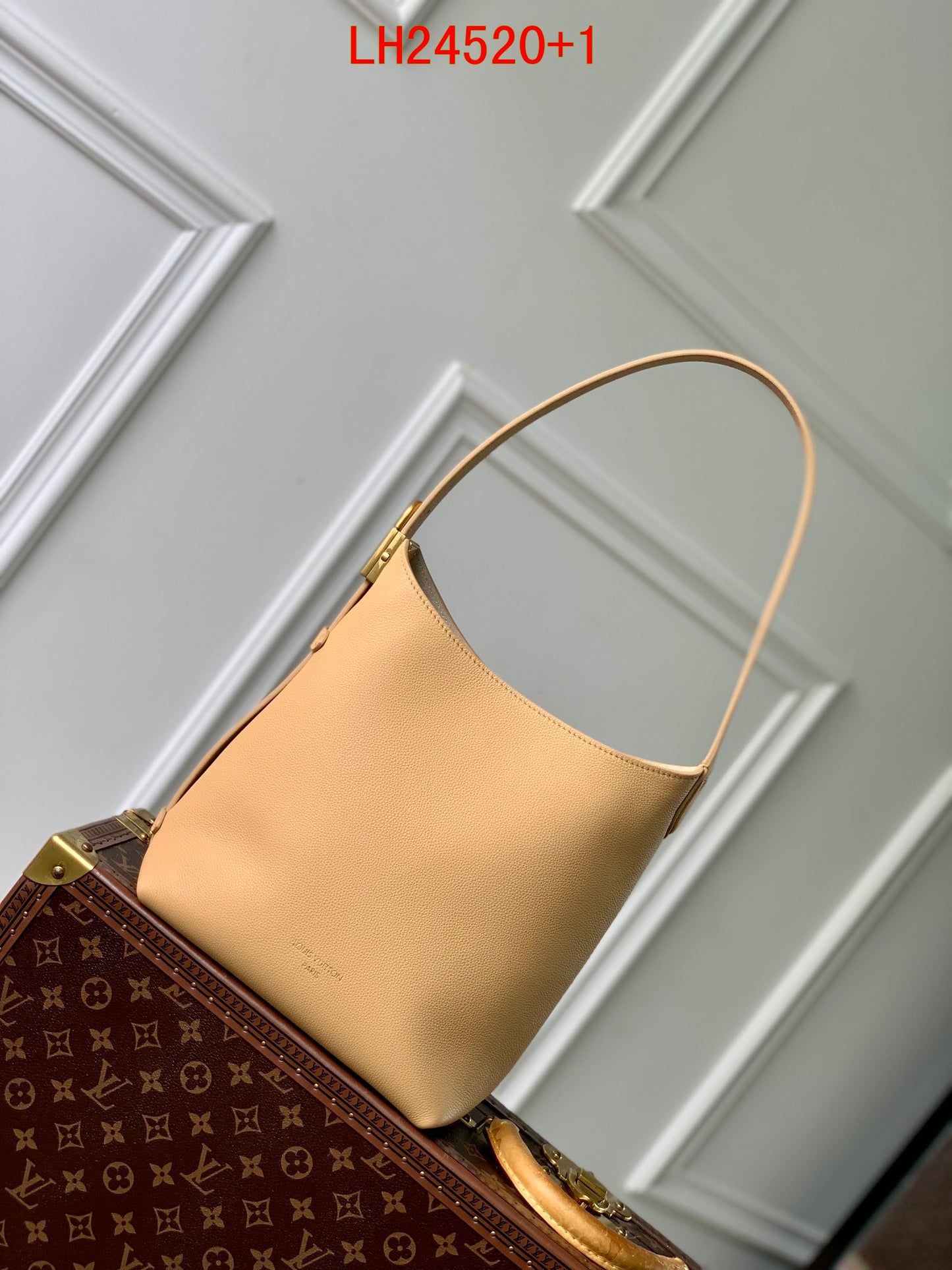 Louis Vuitton Low Key Hobo bag PM
