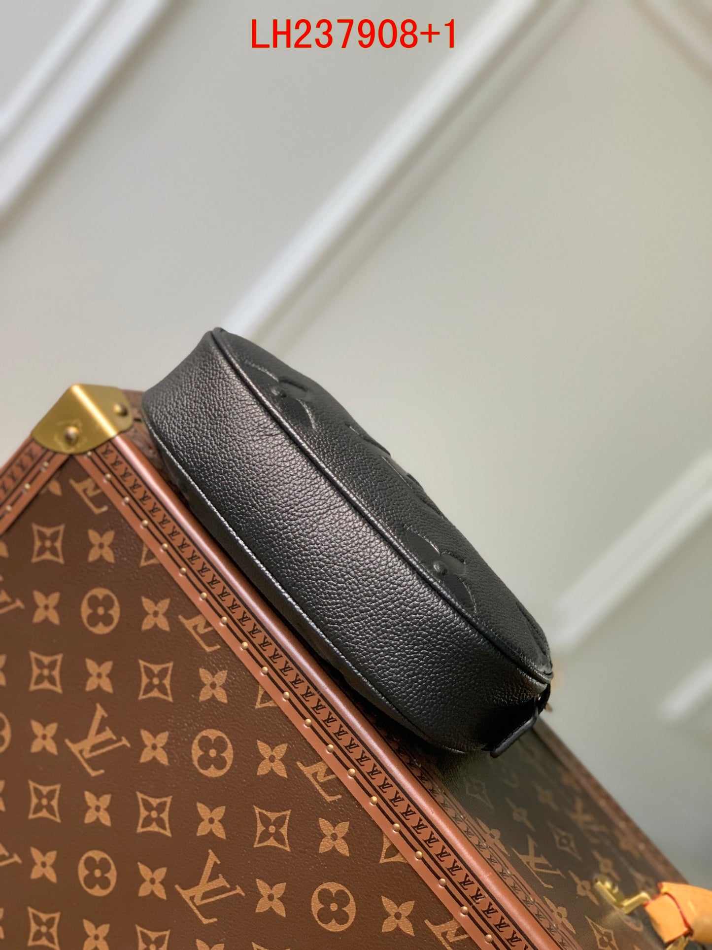 Louis Vuitton Mini Moon Bag