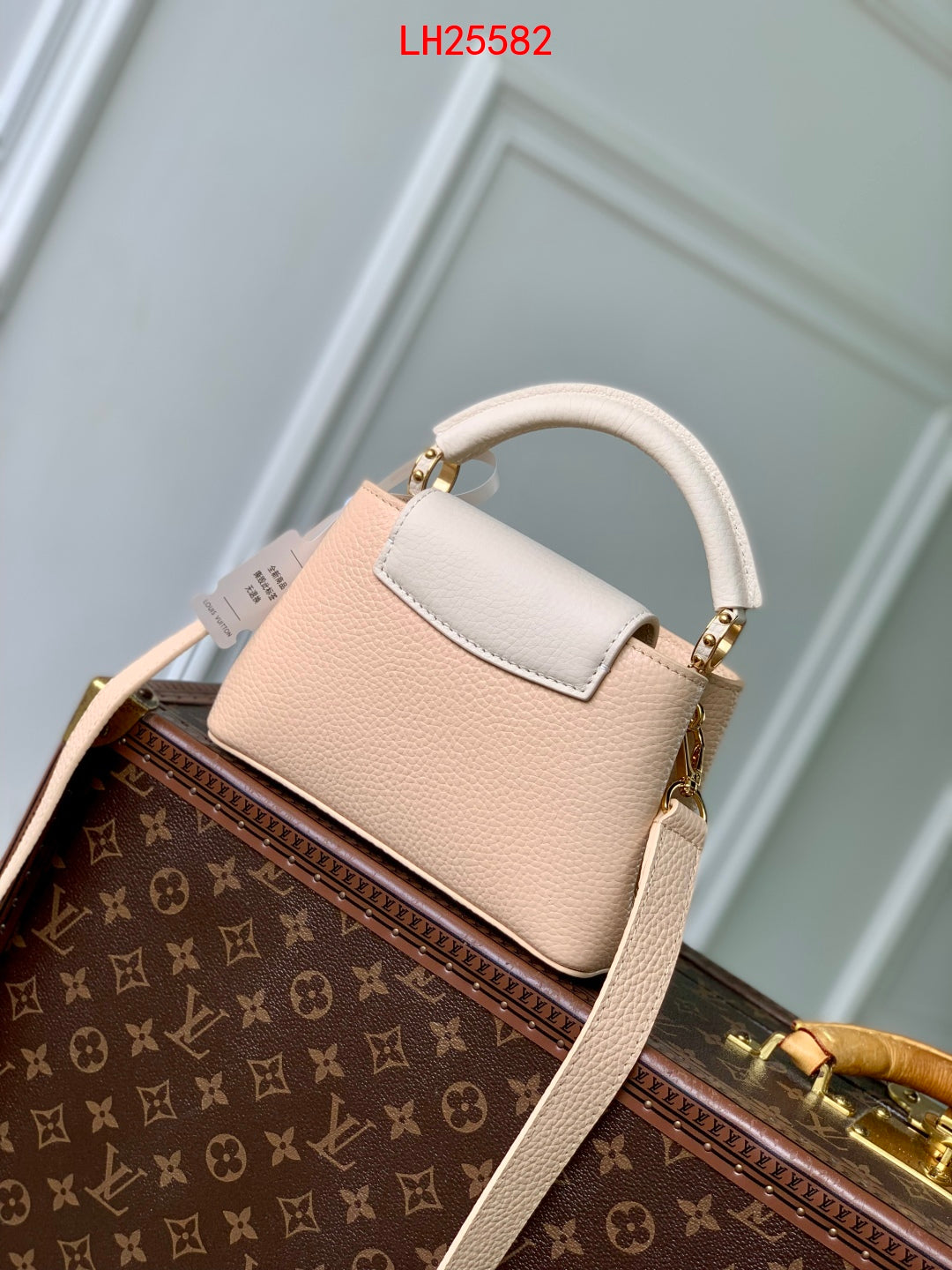 Louis Vuitton Capucines BB Daydream animation