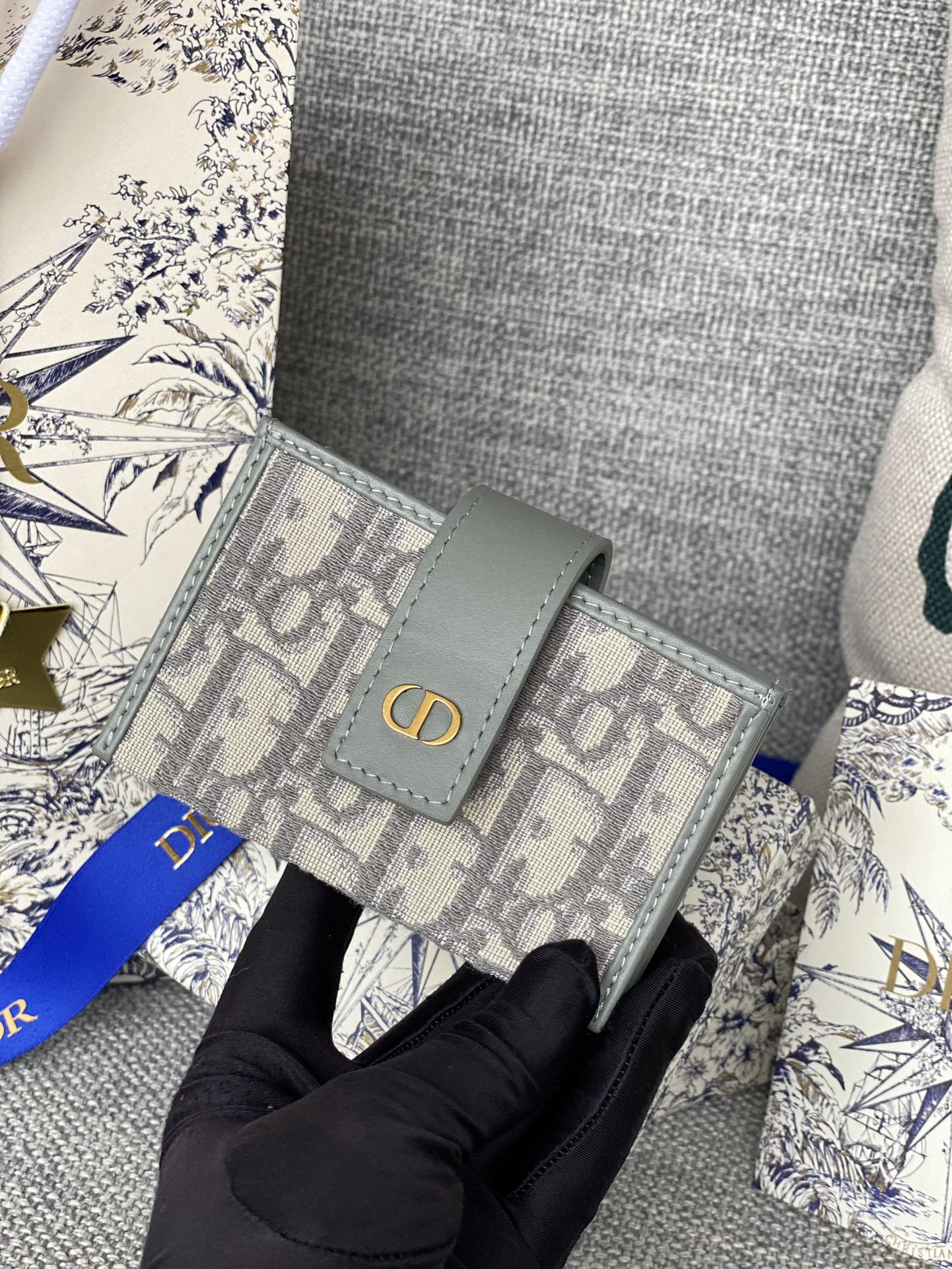 Dior Card Holder