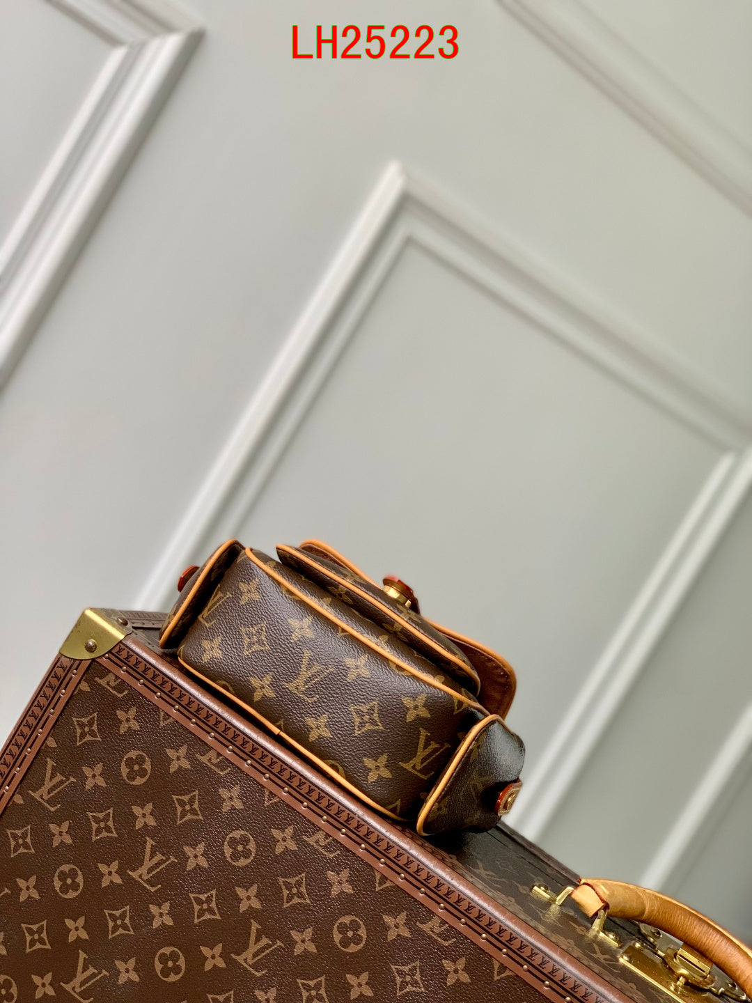 Louis Vuitton Cargo Wearable Wallet