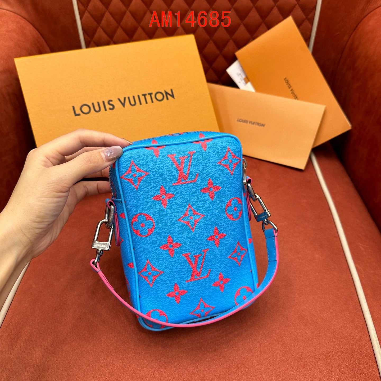 Louis Vuitton Danube Monogram bag