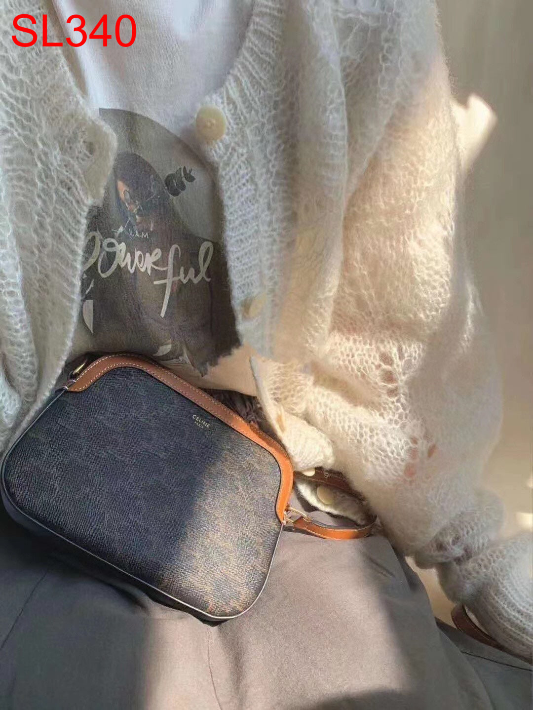 Celine Triomphe Camera Bag