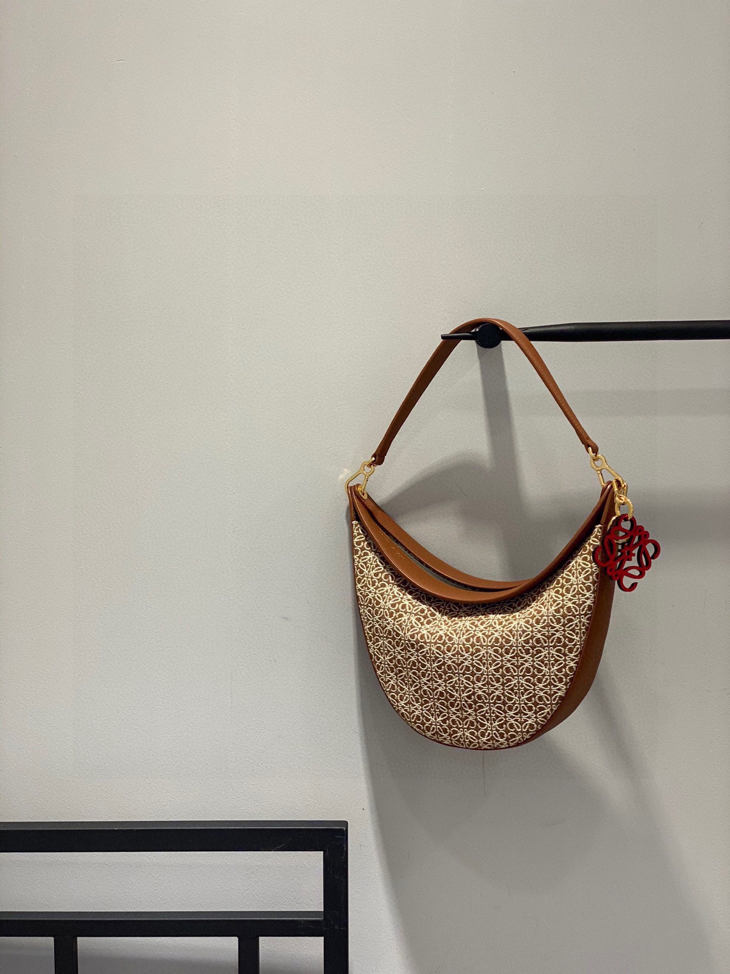 Loewe Luna Bag Canvas