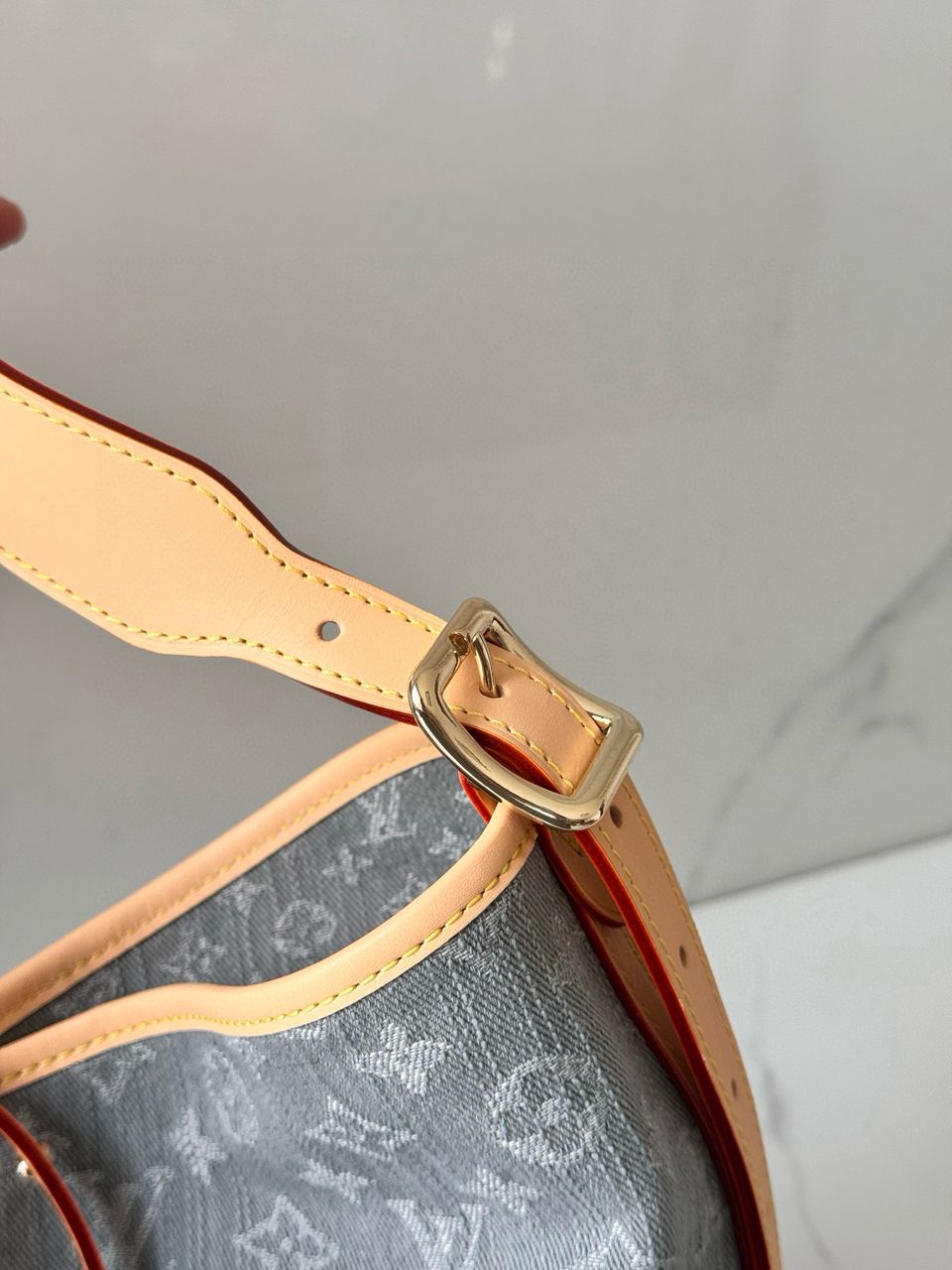 Louis Vuitton CarryAll MM Denim bag
