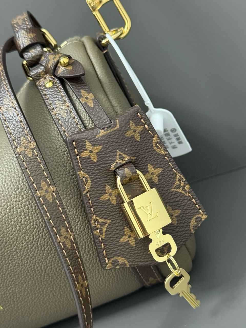 Louis Vuitton Express PM bag
