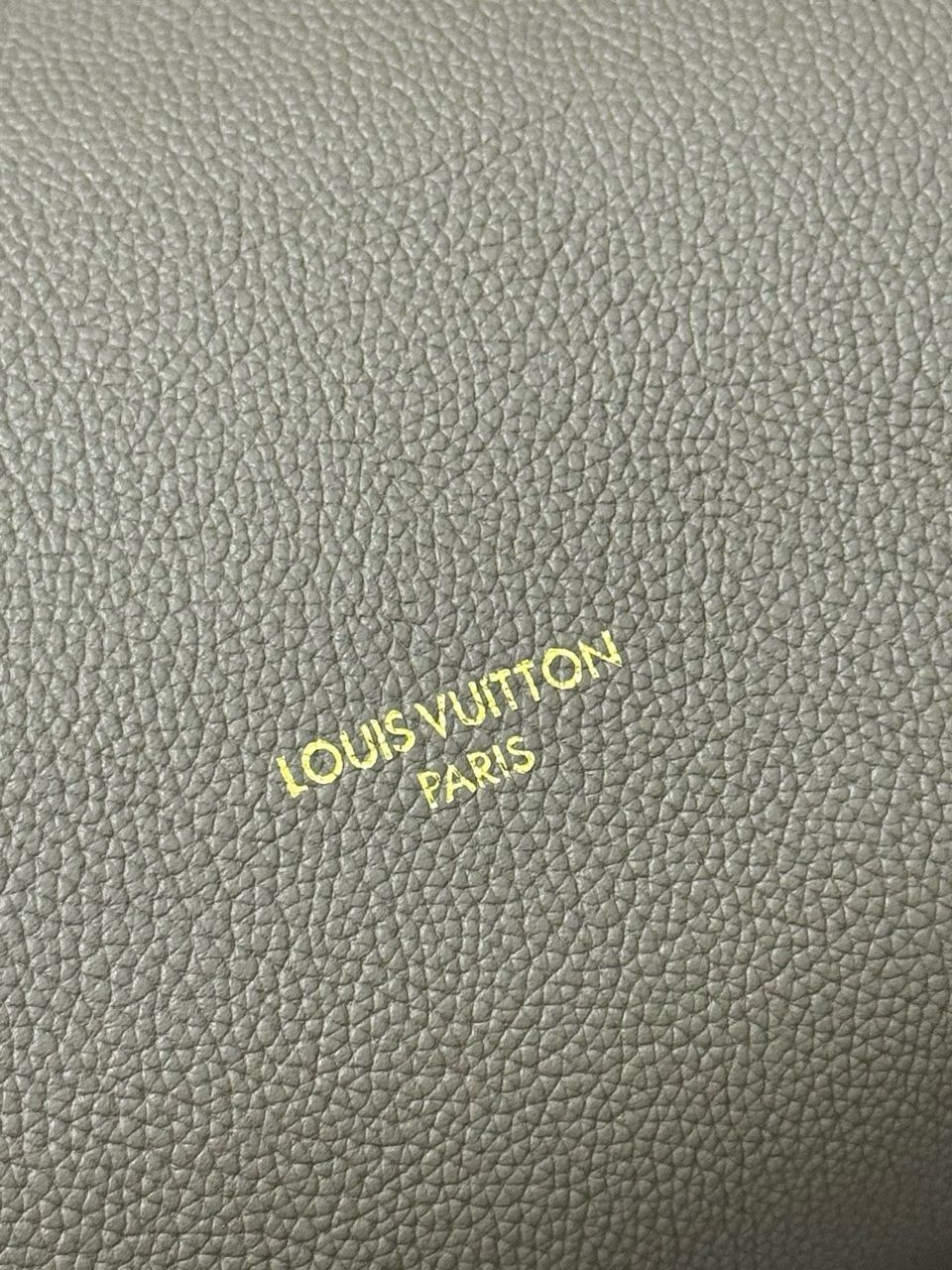 Louis Vuitton Express PM bag