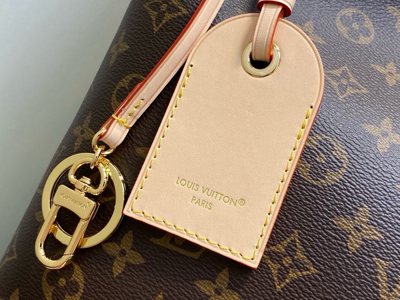 Louis Vuitton Again Monogram Canvas bag