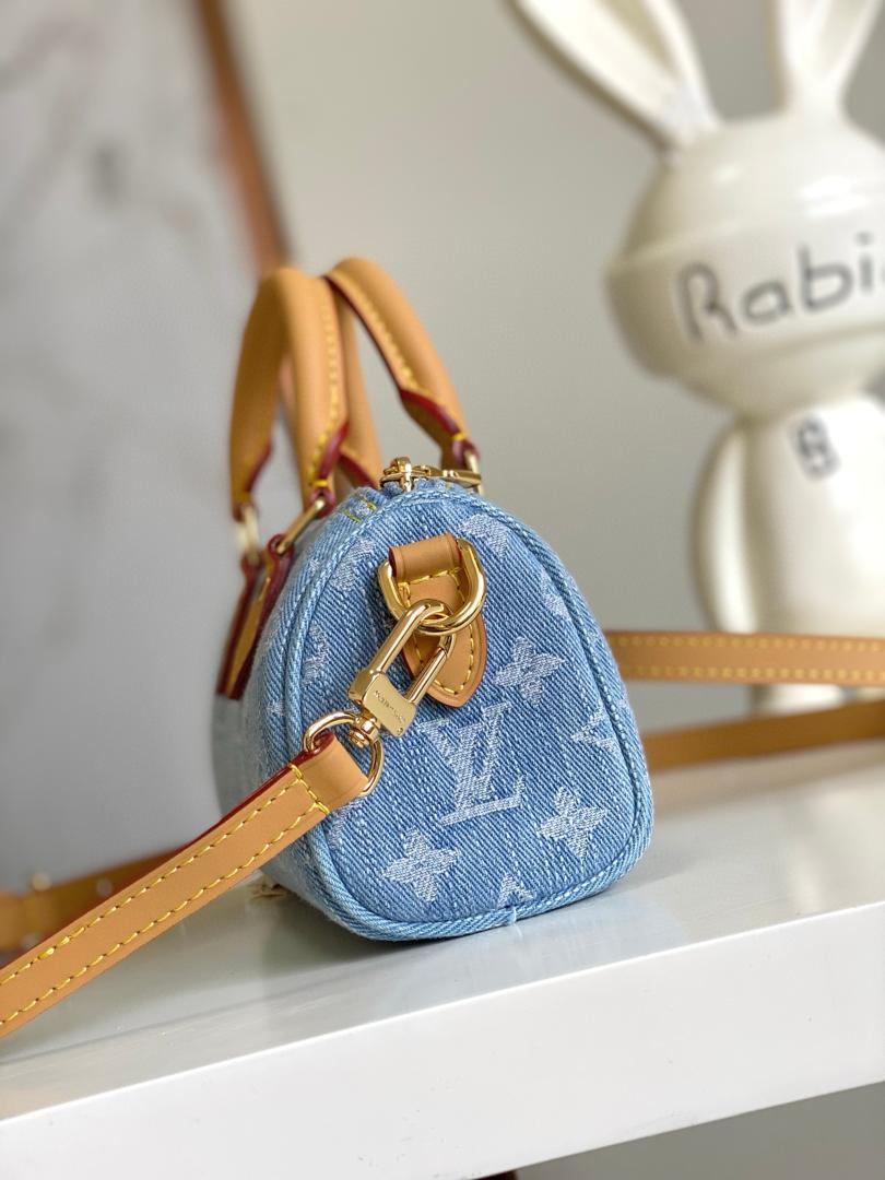 Louis Vuitton Denim Speedy Nano