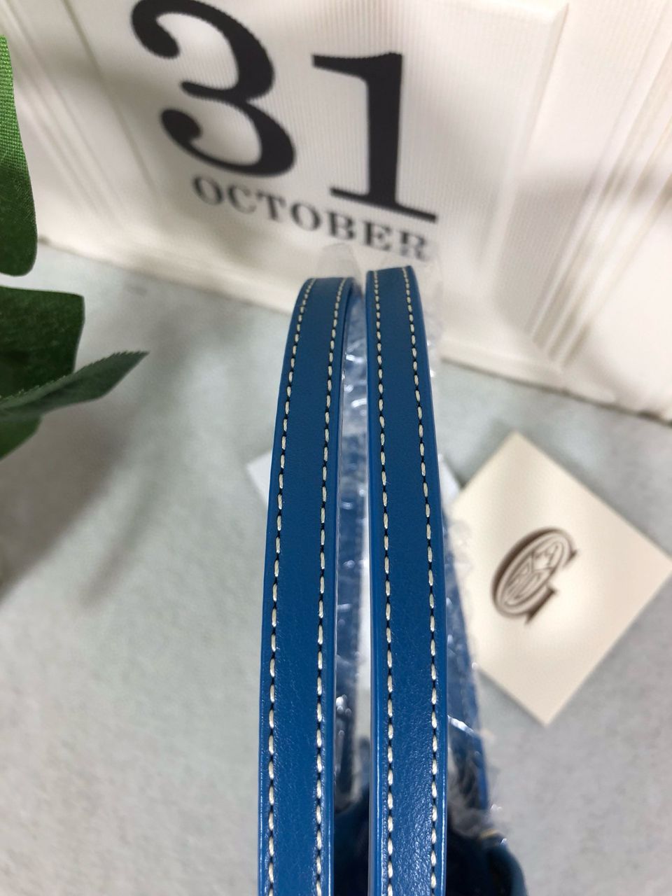 Goyard Anjou mini bag