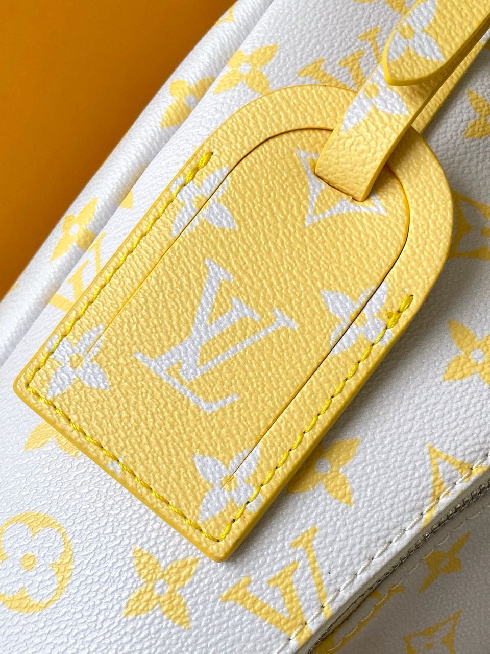 Louis Vuitton Discovery Backpack