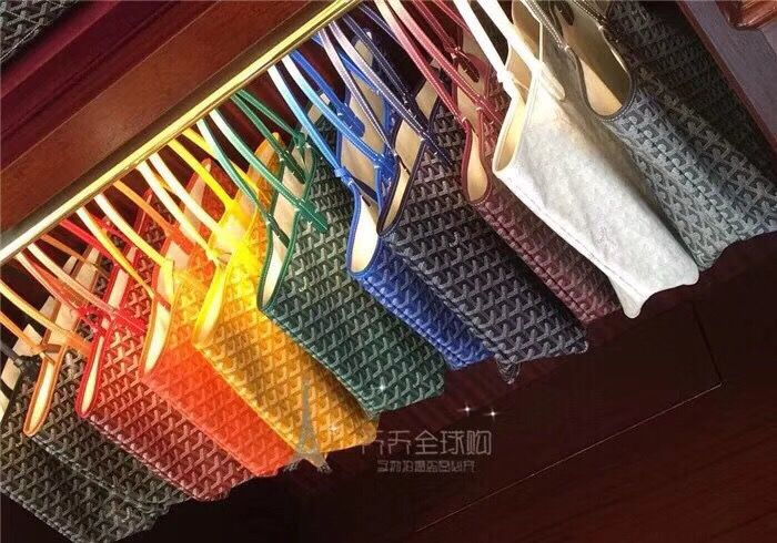 Goyard Saint Louis Bag