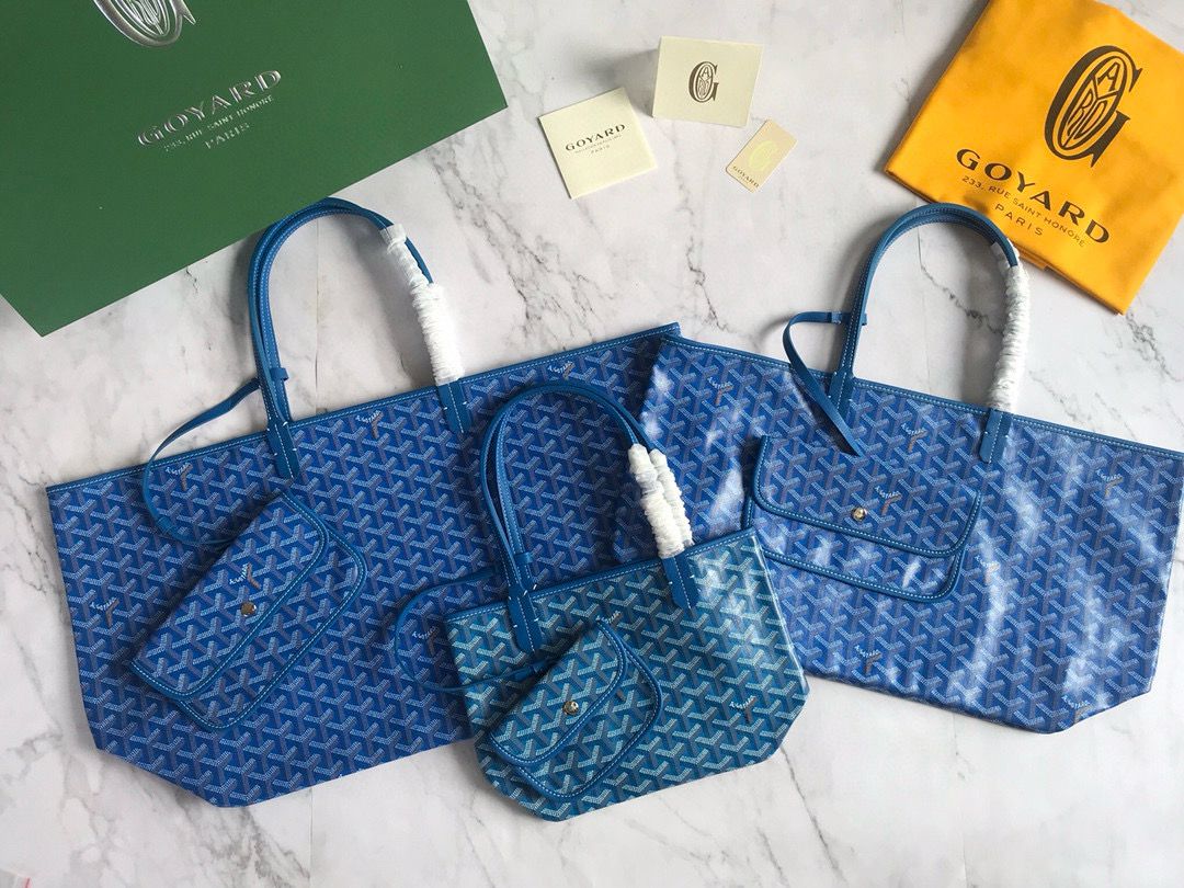 Goyard Saint Louis Bag