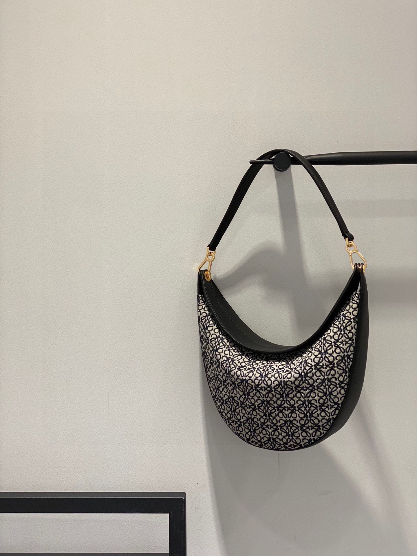 Loewe Luna Bag Canvas