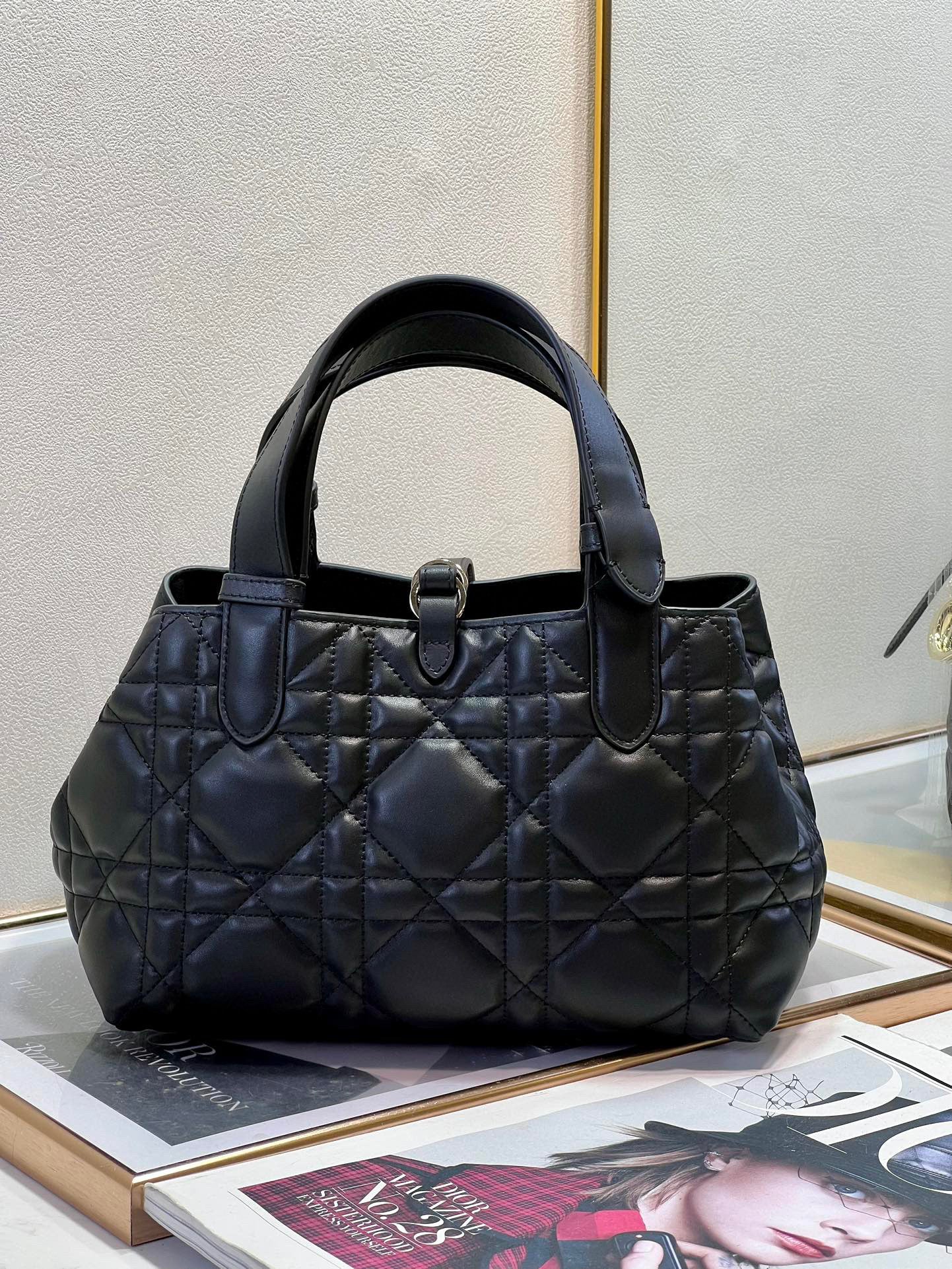 Dior Small Toujours Bag