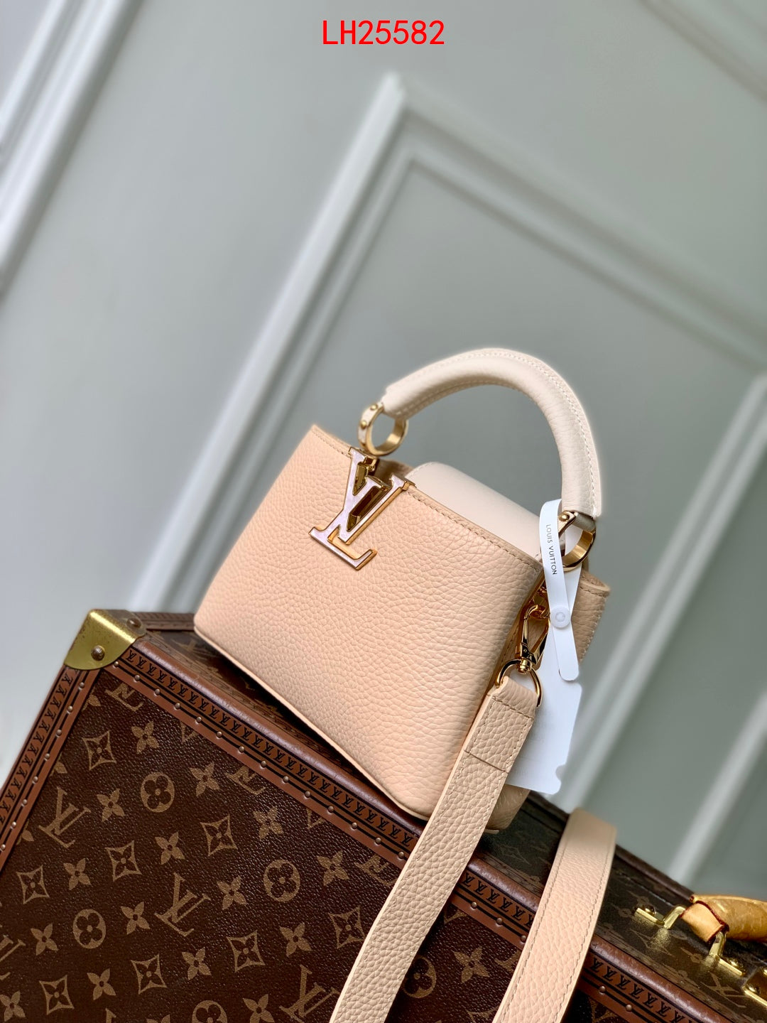 Louis Vuitton Capucines BB Daydream animation