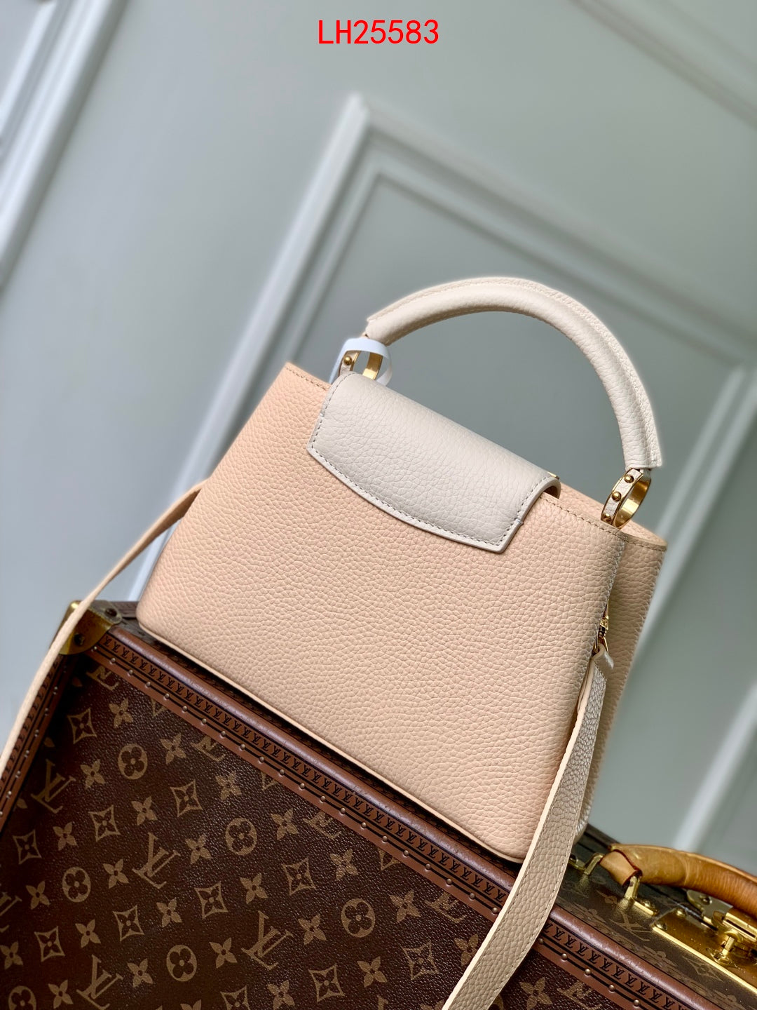 Louis Vuitton Capucines PM Daydream animation