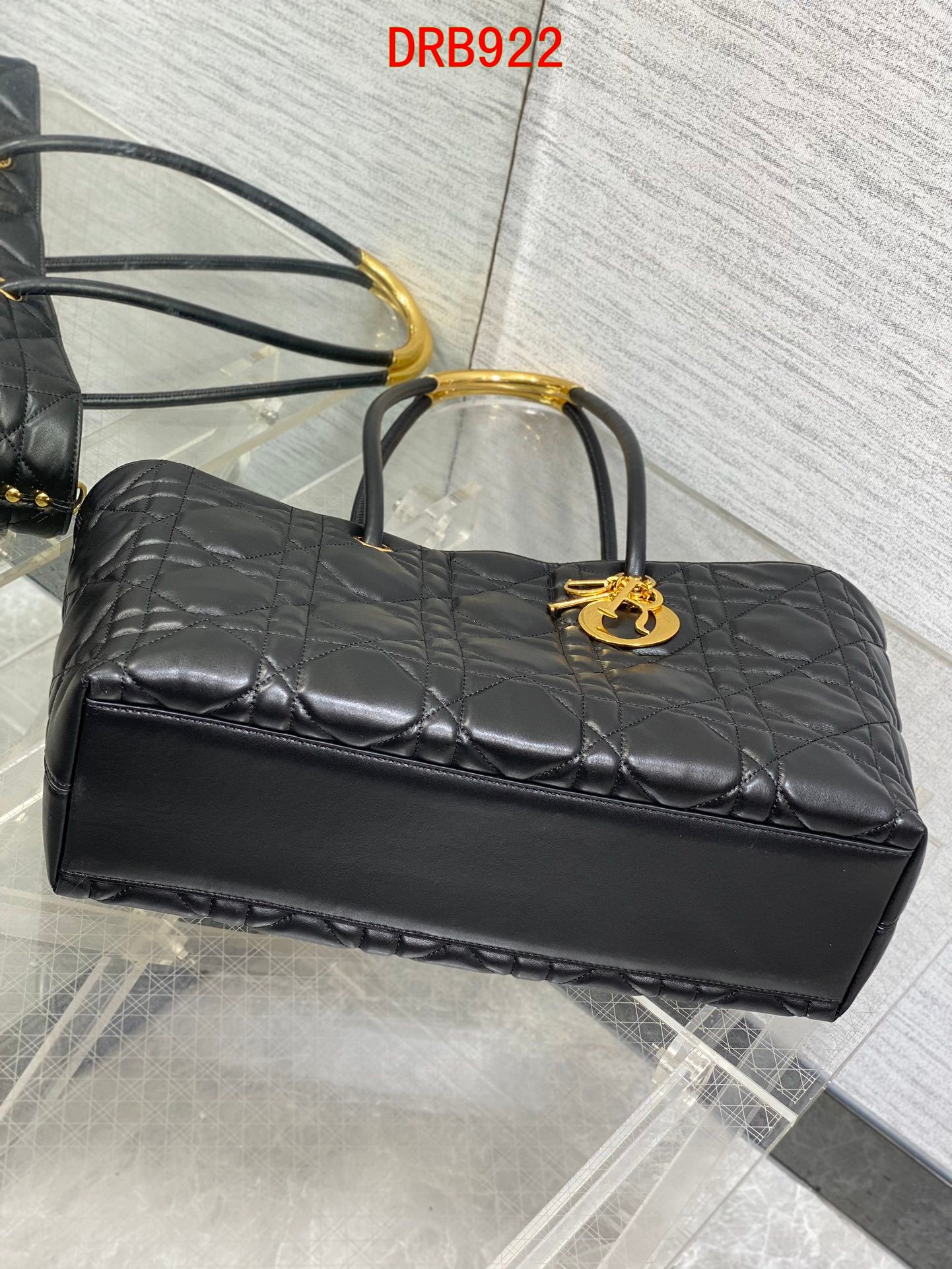 Dior Toujours Large bag
