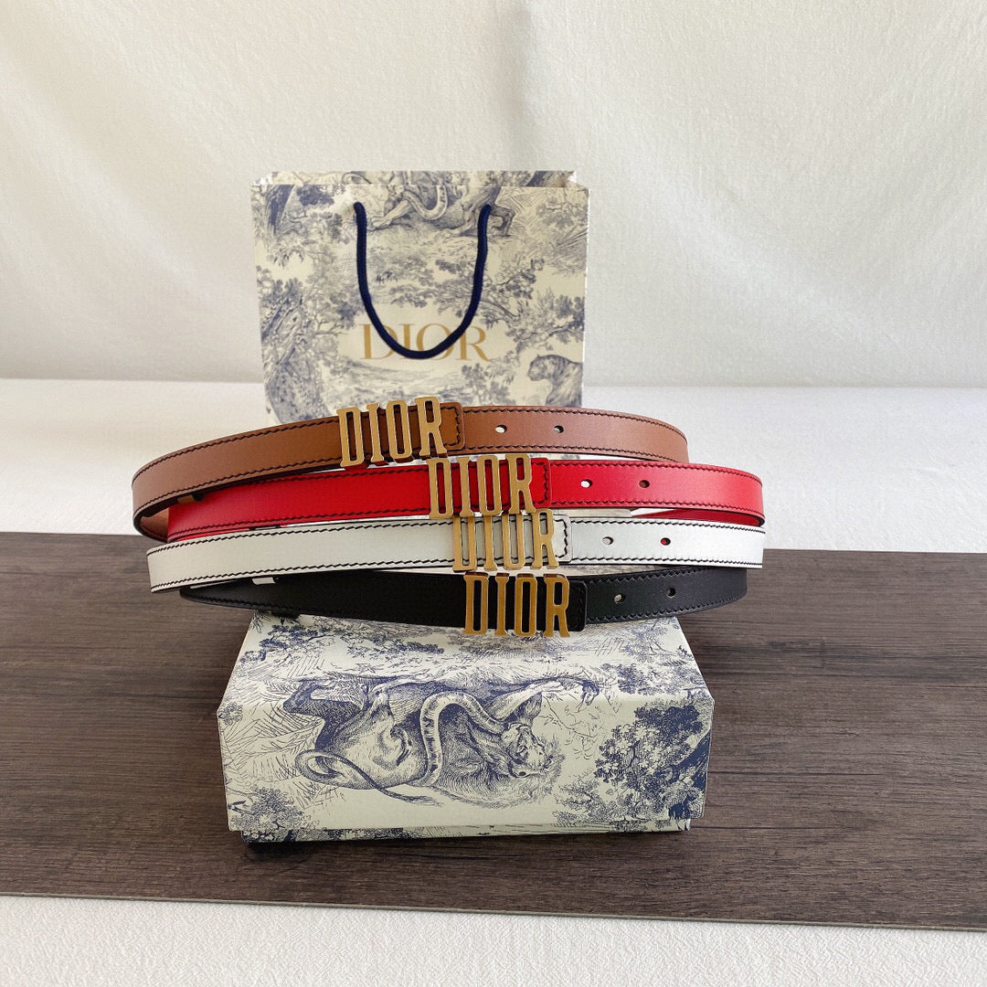 Dior Belt