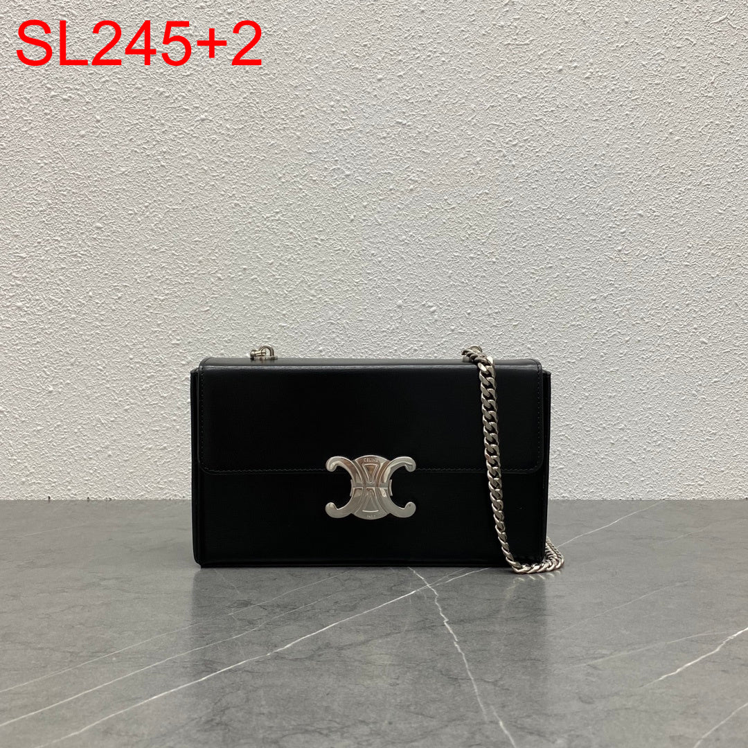 Celine Box Triomphe Bag
