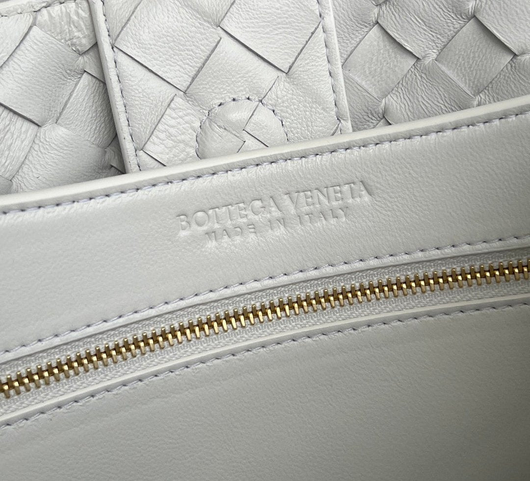 Bottega Veneta Andiamo Medium Tote Bag