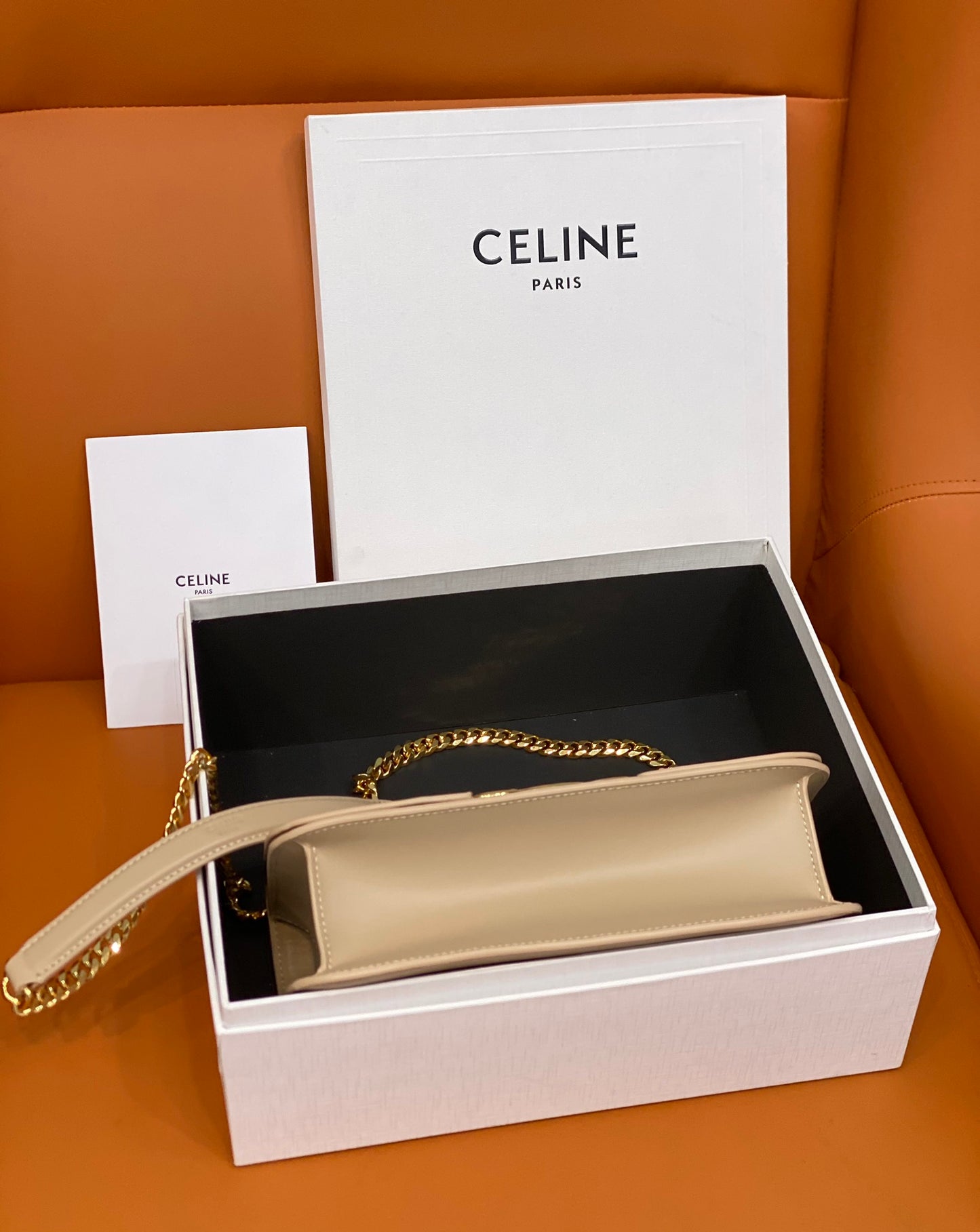 Celine Medium Bag Triomphe Frame