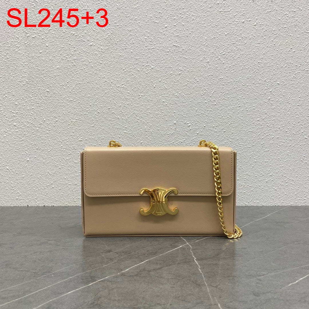 Celine Box Triomphe Bag