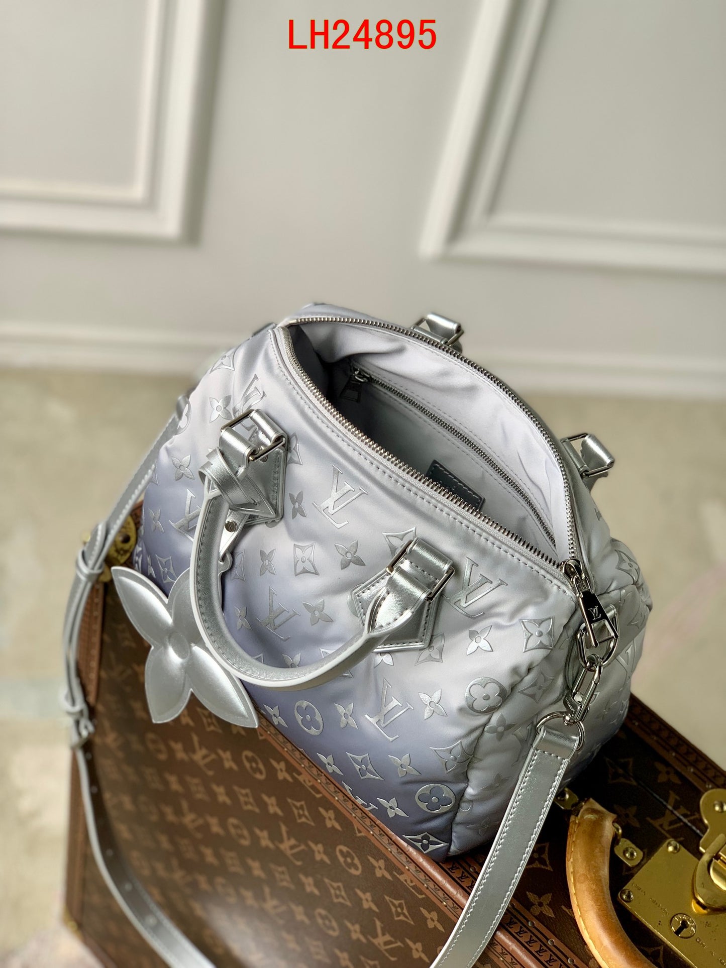 Louis Vuitton Speedy Bandoulière 25 Snow Collection