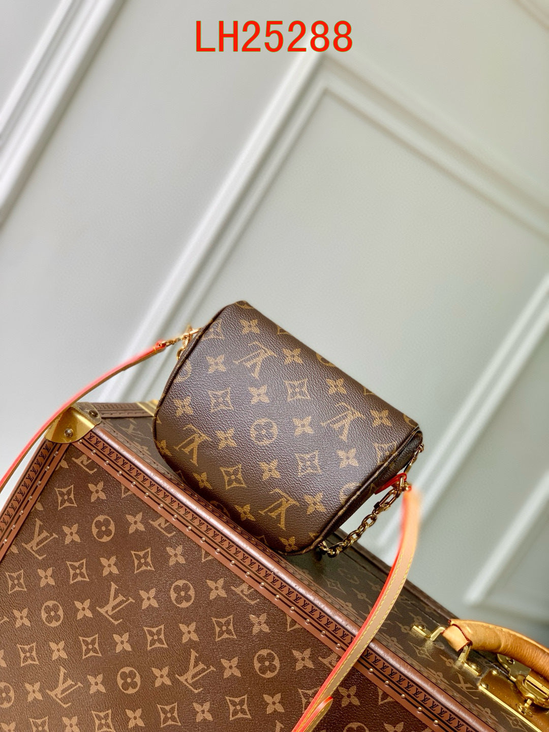 Louis Vuitton LV x TM Mini Bumbag