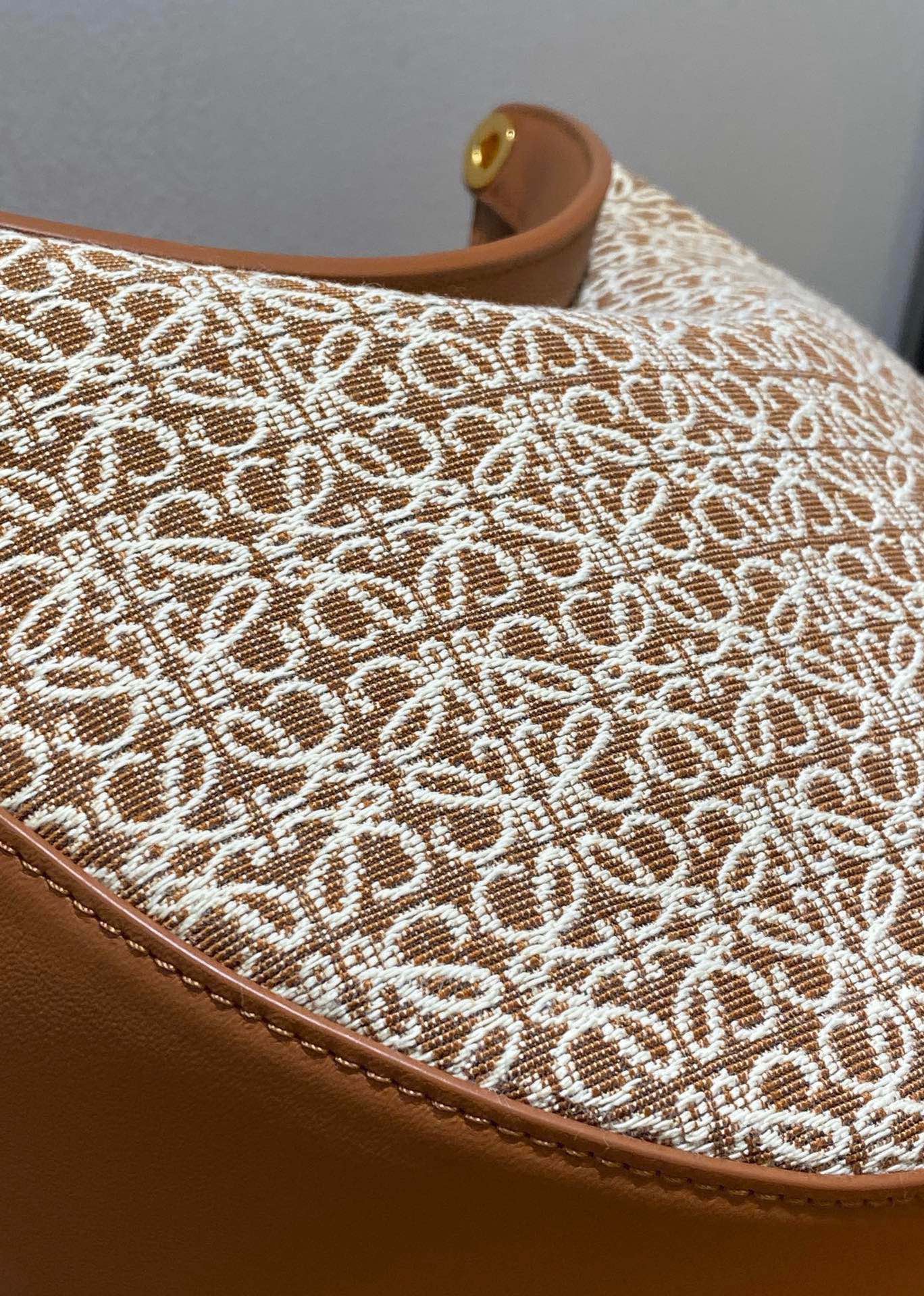 Loewe Luna Bag Canvas