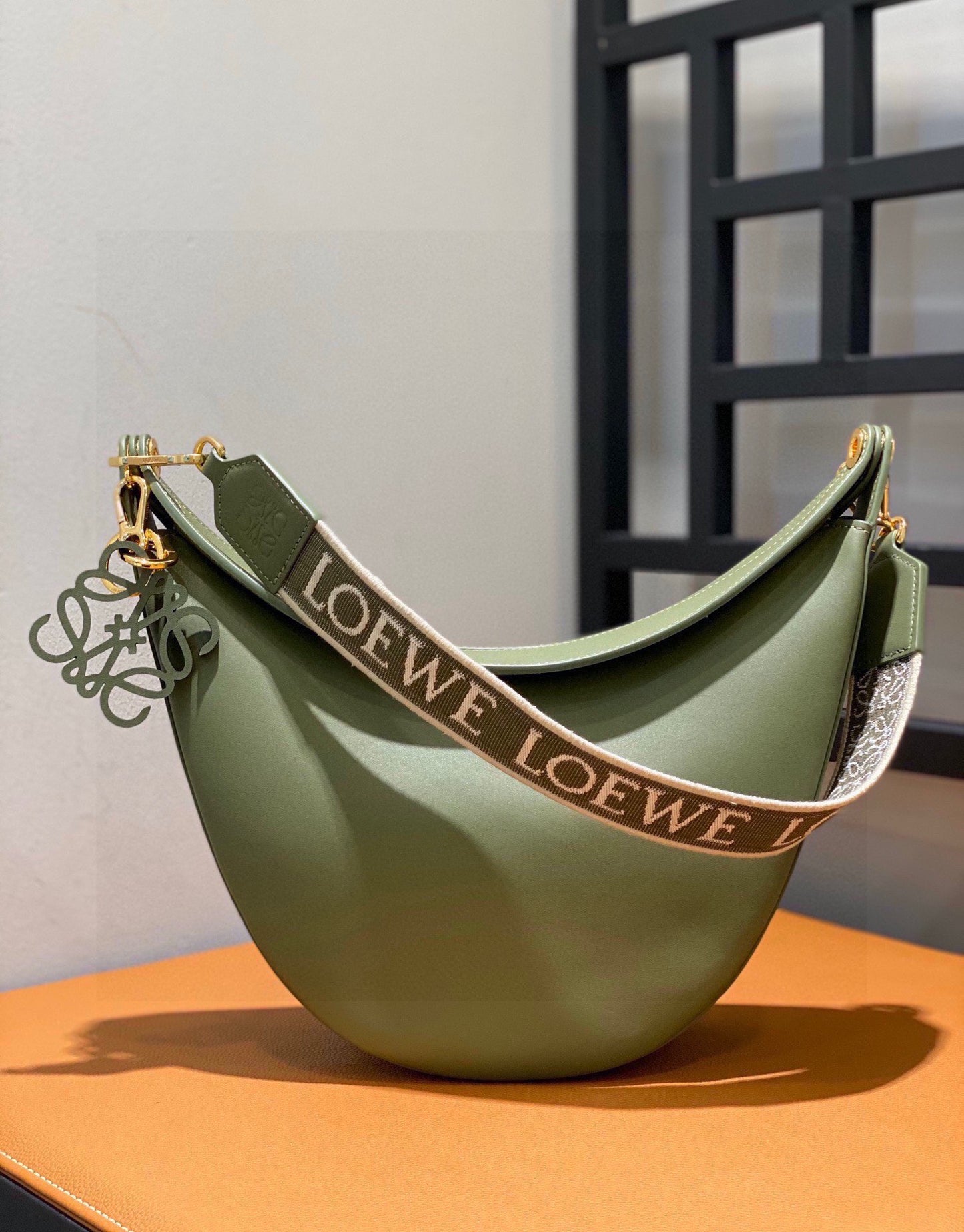 Loewe Luna Bag leather